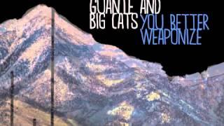 Guante & Big Cats: EVERYTHING BURNS