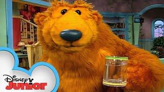 Water, Water Everywhere | Full Episode | S1 E2 | Bear in the Big Blue House | @disneyjr