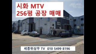 경기도 시흥 안산 시화공단 반월공단 MTV 엠티브이  공장 매매 중개 신축급 대지 250평  Factory  工厂 세종위상무