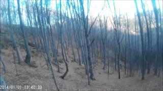 Wild boar hunt Bulgaria Gabrovo 2015 -first video from action cam