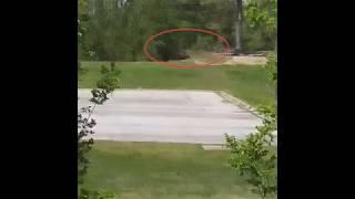 SCARY Shadow Figure Caught ON CAMERA!