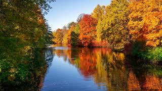 Dmitriy Pavlov Autumn №3