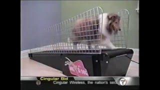TECHTV -  JOG A DOG Featured Product