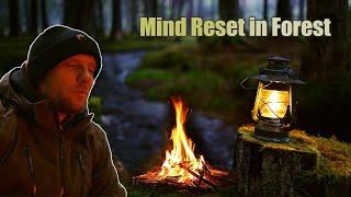 Mind Reset in Forest  When you Need Time just for Yourself  FOX NATURE