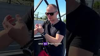 Терраса из МПК спустя 3 года #терраса #строительство https://www.youtube.com/watch?v=q31OYJA5WvA