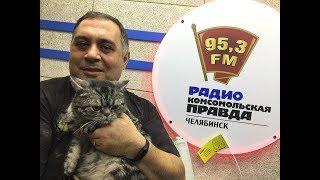 В Челябинске отпраздновали День кошек!