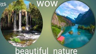 beautiful nature video