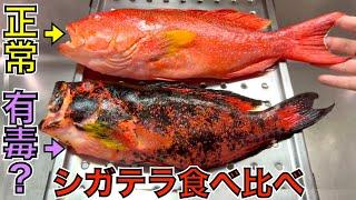 食べて検証！「シガテラ毒入り」の証が出た魚を骨の髄まで食べるとどうなる？