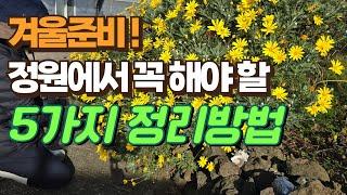 겨울준비! 정원에서 꼭 해야 할 마지막 5가지 정리 방법