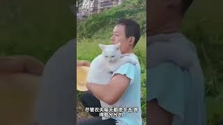 农民的温情，带给小猫的快乐生活