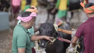 ಕುದಿ ಕಂಬಳ