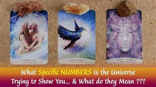What Specific Numbers is the Universe Trying to Show You... and What do they Mean‍️