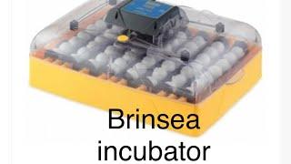 Brinsea incubator review. Hatching made easy!