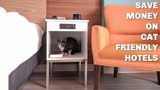 Cat-Friendly Hotels | 5 Ways To Save $$$