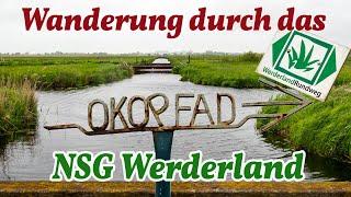 Eine 8,5 km lange Wanderung auf dem Ökopfad NSG Werderland