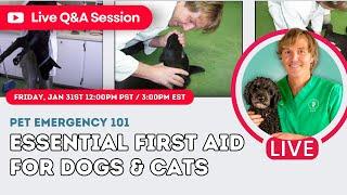 Essential First Aid for Dogs and Cats: Livestream with Dr. Andrew Jones DVM