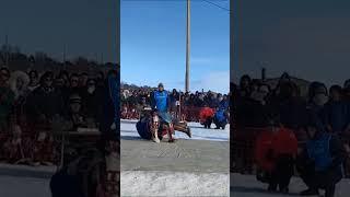 Национальная борьба / День оленевода
