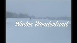 Barr Run Farm - Winter Wonderland 2021