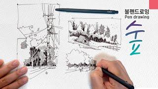 How to draw a forest (many trees) easy and simple