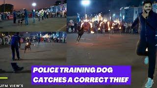 Police dogs performances | Tamil | Stunt | JFM VIEW’S