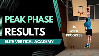 OTA Elite Vertical Academy | Peak Phase, Results and Full Program Review (2024)