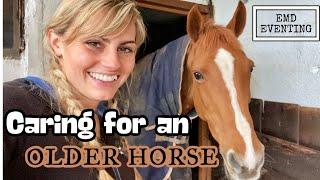 Caring For An Older Horse | EMD Eventing