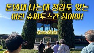 이탈리아 와인 성지 볼게리: 오르넬라이아 와이너리 투어⭐️ Ornellaia Winery Tour in Bolgheri, Super Tuscan Wine #tuscanywine