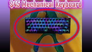 Best Budget Mechanical Keyboard? Motospeed CK61 from BZFuture Review and Sound Test!