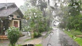 Relaxing Walk in The Rain - Heavy Rain in Village -  Indonesia  #1