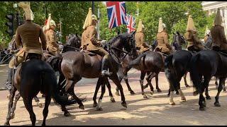 Horse goes its own way!! "Japanese State Visit REHEARSAL