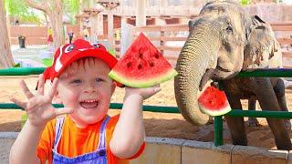 Oliver's Family Trips to the Zoo and other Fun Animal Videos