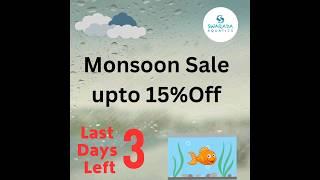 ️Hurry up..! only 3 days  left for  End of Mansoon Sale. visit @swaradaaquatics soon. ️🪴