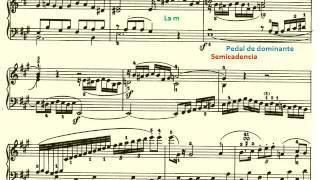 Beethoven. Sonata nº 2 Op. 2 nº 2  IV. Rondó Sonata. Análisis Musical. Partitura. Audición.