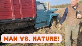 Old Cars & Trucks SAVED from the Swamp: Farm Auction Finds! Tractors, Vintage Relics & more SOLD!