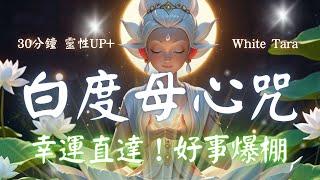 白度母心咒  White Tara Mantra 開啟內心平靜的神奇力量，心想事成，讓幸運與健康降臨！ (中文/羅馬發音版)  #白度母 #buddha