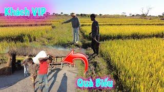 Linh Philip || Tin Bất Ngờ !  Sở Nông Nghiệp Của Tỉnh Sẽ Đến Thăm Việt Phi Farm !