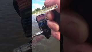 Небольшой Щур #fishing #беларусь #рыбалка #отдых #спининг #рыбалка_з_сябрамі