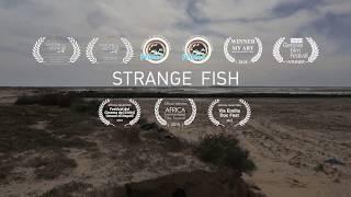 Strange fish • Trailer