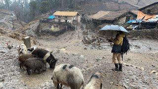 Very Relaxing Nepali Mountain Village Life|| Rainy day|| Beautiful And Real Winter Life||Documentary