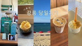 vlog|폭염에 강릉당일치기,초당옥수수빙수 맛집 시만차,사근진해변은 아름다웠고,이열치열 순찌랑 장칼국수먹기, 소품샵뿌셔(오어즈,르봉마젤,산수율,사유의공간),초당옥수수 커피,커피빵