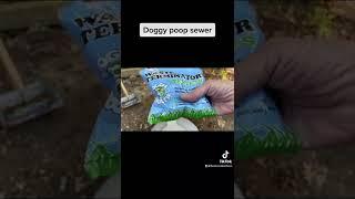 OMG! Got Too Much Poop? This Doggie Dooley Septic-Tank Pet Waste Disposal System is the Best Idea!