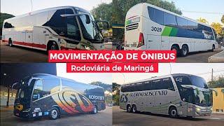 IRIZAR da NORDESTE e G7 da PLANALTO - Movimentação de Ônibus na Rodoviária de Maringá