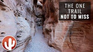 WHITE DOMES LOOP Trail | VALLEY OF FIRE State Park | Exploring a Slot Canyon and Colorful Rocks