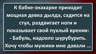 Дылда у Знахарки и 35-летняя Похотливая Девка! Подборка Лучших Анекдотов Синего Предела