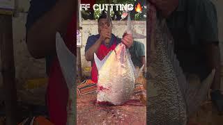 KASIMEDU  SPEED SELVAM BIG TREVALLY FISH CUTTING VIDEO #kasimeduselvam #fishcutting #youtubeshorts