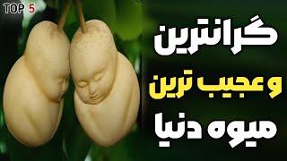 گرانترین میوه های دنیا | خرید این میوه های عجیب و غریب نشانه پولداری شماست و فقط در ژاپن رشد می کنند