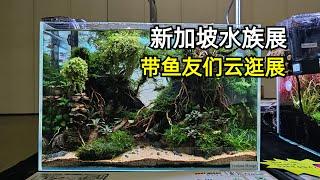 带鱼友逛下新加坡水族展，龙鱼冠军、斗鱼冠军、以及水草缸造景#水族 #水族展 #aquariumfish #aquarium #小马玩水族 #龙鱼