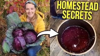 HOMESTEAD SECRET REMEDY