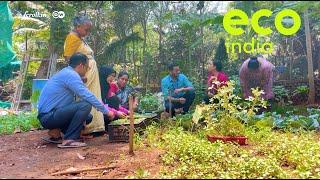 Eco India: How locally grown food is capturing the imagination of urban Indians