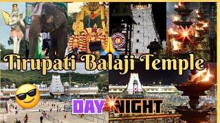 Tirupati Balaji TempleDay and Night  | Tirumala | Inspiring Peacock | #tirupati #tirumala #ttd